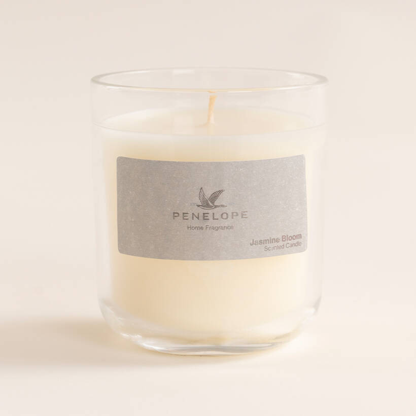 Jasmine Bloom Mum 210 Gr - Penelope