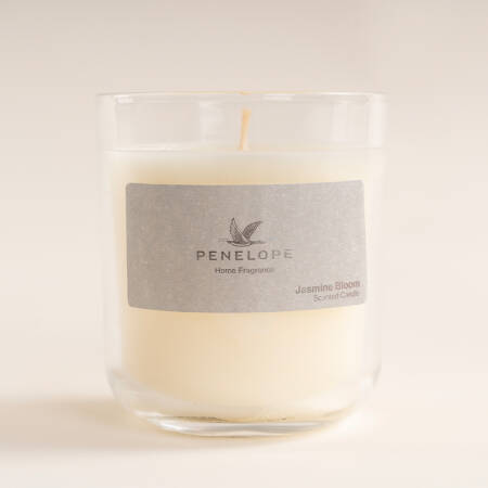 Jasmine Bloom Mum 210 Gr - Penelope
