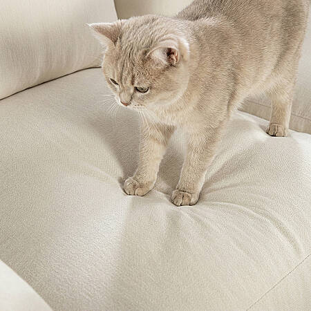 Sofa Plume 2’li Kolsuz Modül 160 x 97 cm | Plainfry Kumaş - Kahve Keten - 10